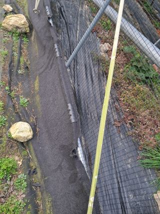 표고버섯18837님의 자유주제 · 자유게시판 작성글 사진