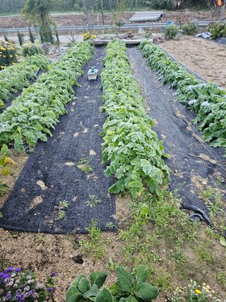 최연재님의 자유주제 · 자유게시판 작성글 사진