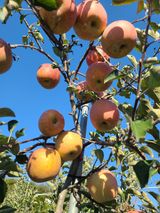 팜모닝 자유주제·자유게시판 게시글 이미지