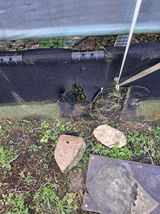 팜모닝 자유주제·자유게시판 게시글 이미지