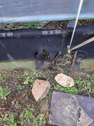 표고버섯18837님의 자유주제 · 자유게시판 작성글 사진