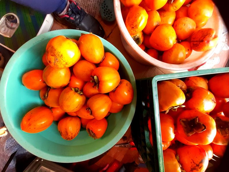 장터 상품 [대봉감(홍시용)8kg 27개내외] 썸네일