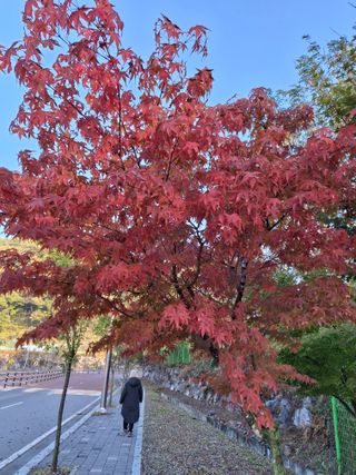 MSG0074님의 자유주제 · 자유게시판 작성글 사진