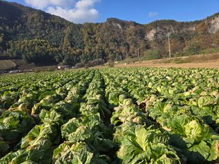 장관덕님의 자유주제 · 자유게시판 작성글 사진