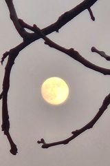 팜모닝 자유주제·자유게시판 게시글 이미지