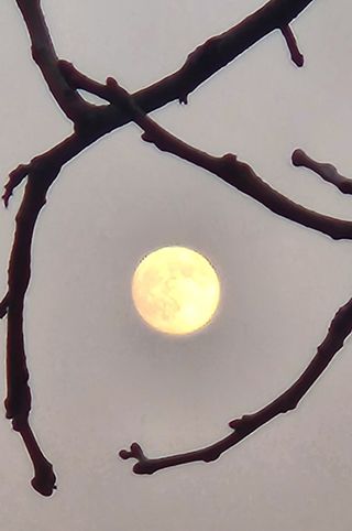 하은와송~♡♡♡~님의 자유주제 · 자유게시판 작성글 사진