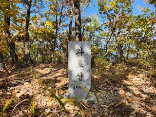 꿀복이농장님의 자유주제 · 자유게시판 작성글 사진