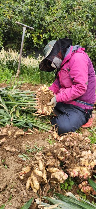 최군환님의 자유주제 · 자유게시판 작성글 사진
