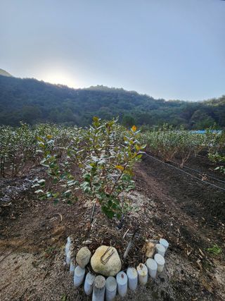 임용관님의 자유주제 · 자유게시판 작성글 사진