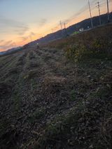 희찬모님의 콩·자유게시판 작성글 사진