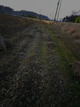 희찬모님의 콩·자유게시판 작성글 사진