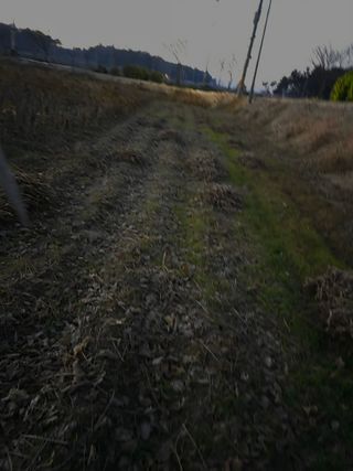 희찬모(정정자)님의 콩 · 자유게시판 작성글 사진