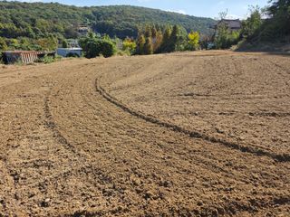 김석기님의 자유주제 · 자유게시판 작성글 사진