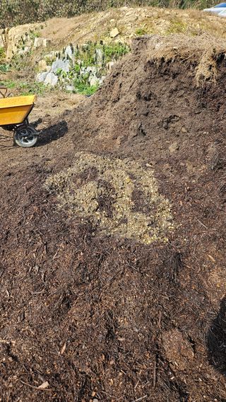 임용관님의 자유주제 · 자유게시판 작성글 사진