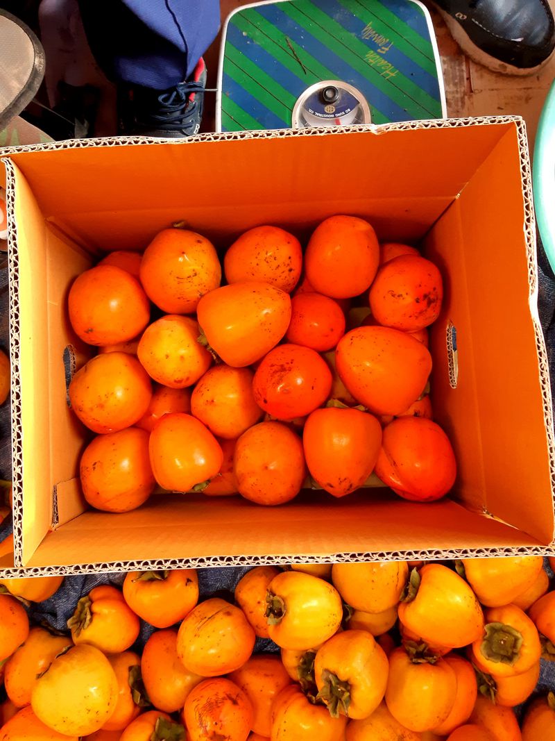 최도석님의 장터 판매 상품 [대봉감(홍시용)8kg 27개내외] 첨부 사진