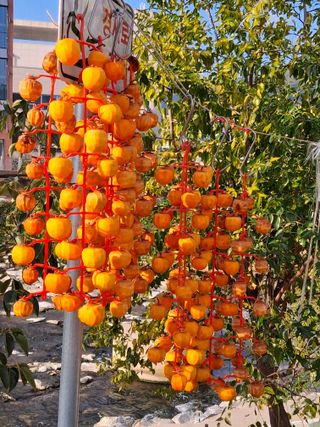 MSG0074님의 자유주제 · 자유게시판 작성글 사진