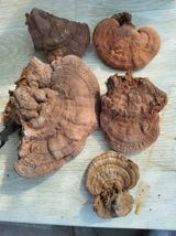 팜모닝 자유주제·자유게시판 게시글 이미지