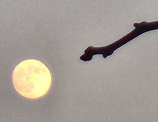 하은와송~♡♡♡~님의 자유주제 · 자유게시판 작성글 사진