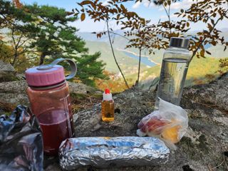 꿀복이농장님의 자유주제 · 자유게시판 작성글 사진