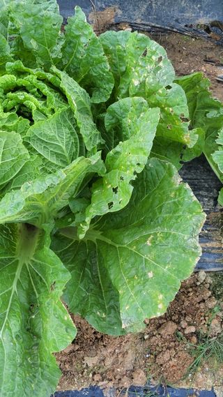 명장박세태님의 자유주제 · 자유게시판 작성글 사진