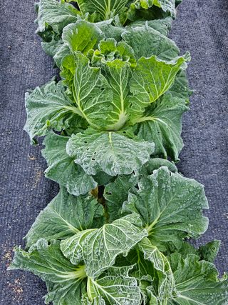 최연재님의 자유주제 · 자유게시판 작성글 사진