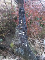 팜모닝 자유주제·사진전 게시글 이미지