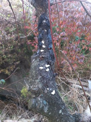 유용진님의 자유주제 · 사진전 작성글 사진