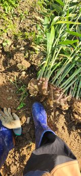 팜모닝 자유주제·자유게시판 게시글 이미지