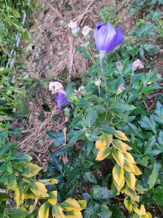 MSG0074님의 자유주제 · 자유게시판 작성글 사진