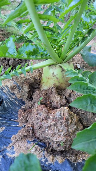 명장박세태님의 자유주제 · 자유게시판 작성글 사진