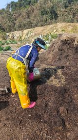 팜모닝 자유주제·자유게시판 게시글 이미지