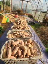 팜모닝 자유주제·자유게시판 게시글 이미지