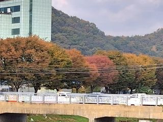 MSG0074님의 자유주제 · 자유게시판 작성글 사진