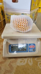 팜모닝 자유주제·자유게시판 게시글 이미지