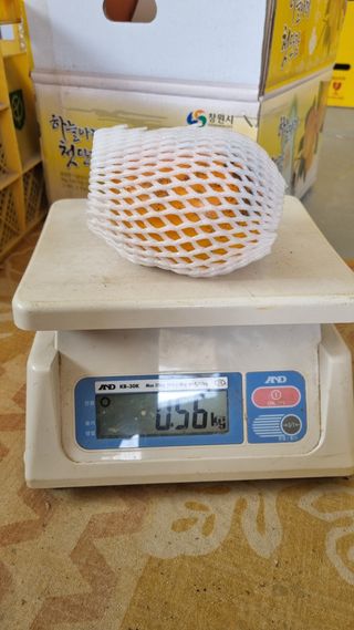 믿고사는농원-송미경님의 자유주제 · 자유게시판 작성글 사진