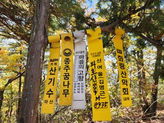 꿀복이농장님의 자유주제 · 자유게시판 작성글 사진