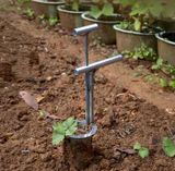 팜모닝 · 게시글 이미지