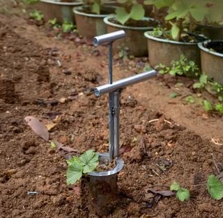 유니즈님의 작성글 사진