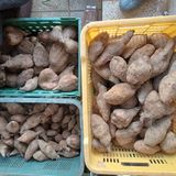 팜모닝 자유주제·자유게시판 게시글 이미지