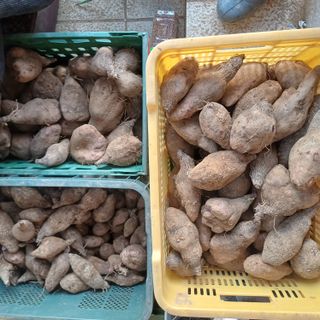 삼성농산님의 자유주제 · 자유게시판 작성글 사진