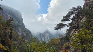 김윤기님의 자유주제 · 자유게시판 작성글 사진