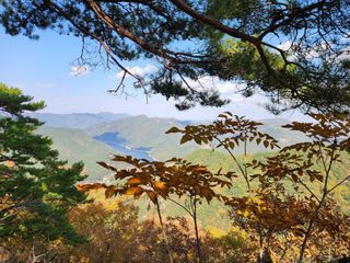 꿀복이농장님의 자유주제 · 자유게시판 작성글 사진