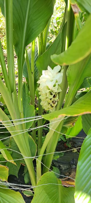 장준재님의 자유주제 · 자유게시판 작성글 사진