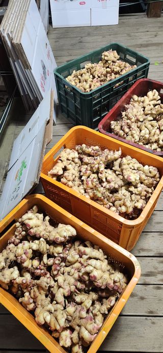 최군환님의 자유주제 · 자유게시판 작성글 사진