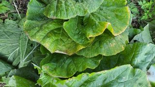 명장박세태님의 자유주제 · 자유게시판 작성글 사진