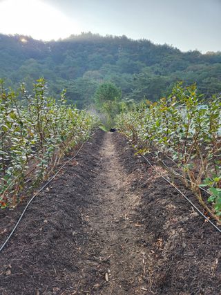 임용관님의 자유주제 · 자유게시판 작성글 사진