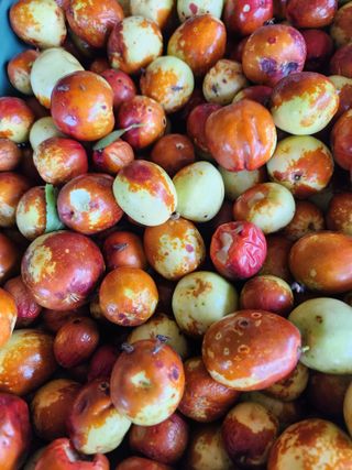 호박10174님의 작성글 사진