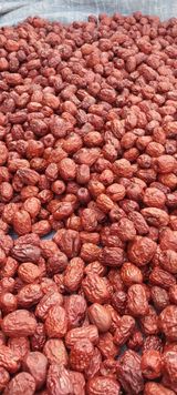 팜모닝 · 게시글 이미지