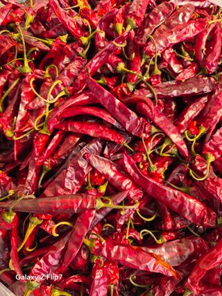 양파9881님의 자유주제 · 사진전 작성글 사진