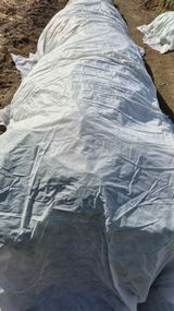 팜모닝 자유주제·자유게시판 게시글 이미지